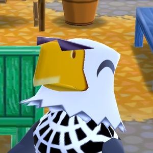 Meet your Posher, Danny